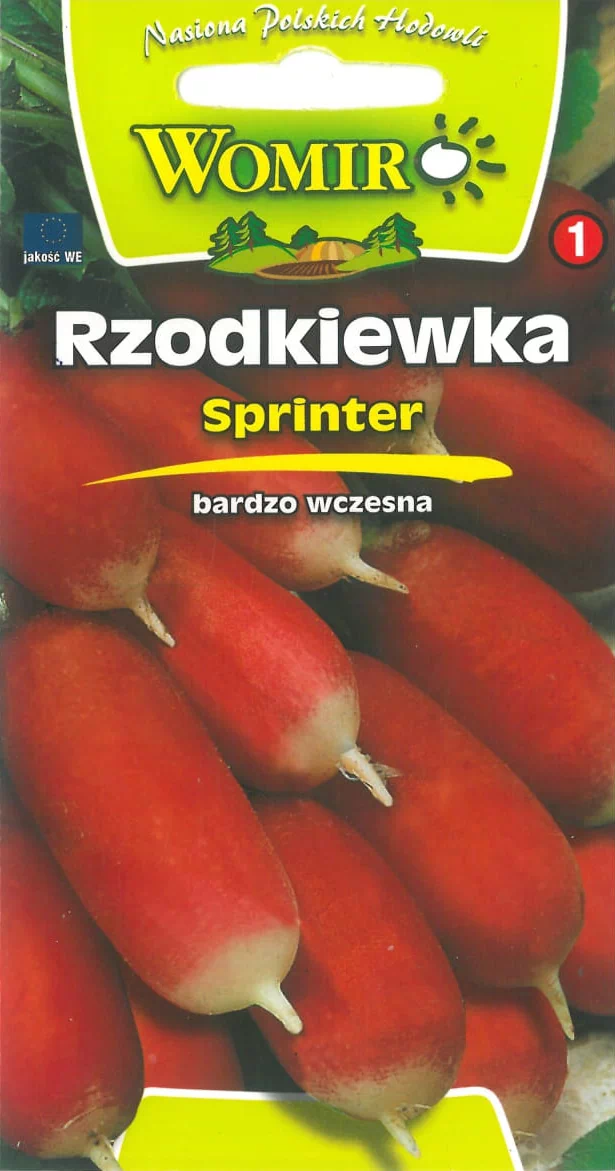 rzodkiewka sprinter